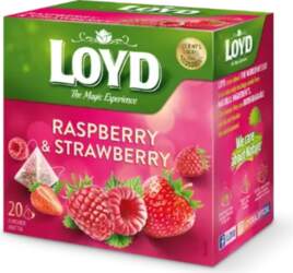 Loyd Fruit tea Pyramids with raspberry