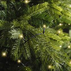 LUMINEO Basic Twinkle light string, 6
