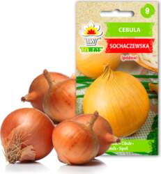 TORAF Sochaczew Onion Vegetable Seeds, 5g