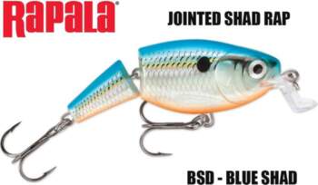 Rapala Ēsma Jointed Shallow Shad Rap