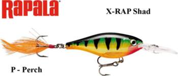 Rapala Ēsma X-Rap Shad Perch -
