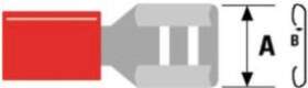 Jeesoon Terminals Co., Ltd Ligzda 2