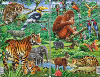 LARSEN puzzle