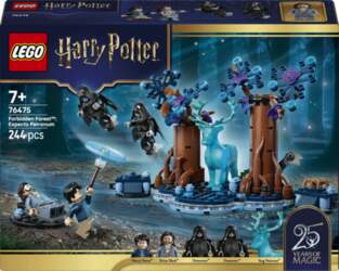 LEGO HARRY POTTER 76475 LEGO® Harry