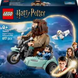 LEGO HARRY POTTER 76443 LEGO® Harry