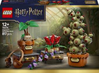 LEGO HARRY POTTER 76474 LEGO® Harry