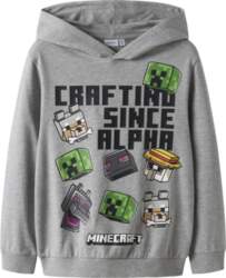 NAME IT LICENSED NAME IT MINECRAFT