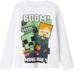 NAME IT LICENSED NAME IT MINECRAFT