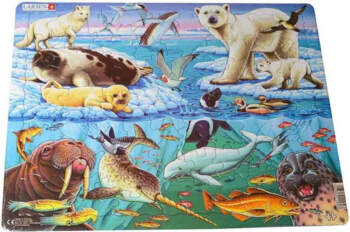 LARSEN puzzle