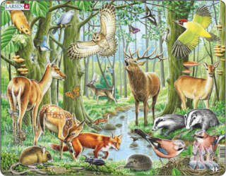 LARSEN puzzle