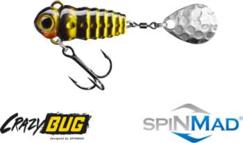 Spinmad Crazy Bug 4g 2401