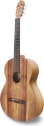 APC Instruments APC 1-Koa Koa Open