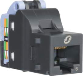 Datu ligzda RJ45 Cat6 UTP Lexcom