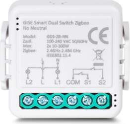 GISE Smart Dual Relay Module (bez