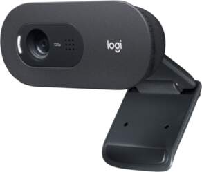 LOGITECH Logitech C505 HD Webcam with