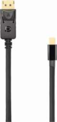 SBOX Sbox DP-Mini DP M/M 2m