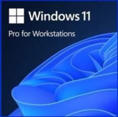 MICROSOFT Microsoft OEM Windows 11 Pro