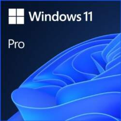 MICROSOFT Microsoft %OEM Windows 11 Pro
