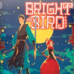 Steam gift cards 重明鸟 Bright Bird