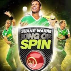 Steam gift cards King of Spin