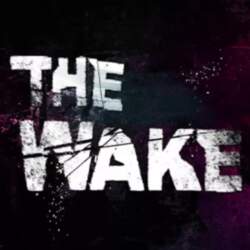Steam gift cards The Wake