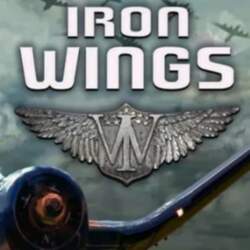 Steam gift cards Iron Wings