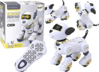 Lean Toys Remote Controlled Interactive Robot