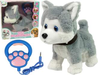Lean Toys Plush Dog Interactive Educational