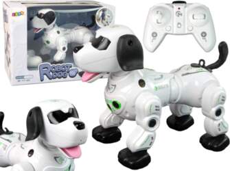Lean Toys Interactive Remote Controlled Robot