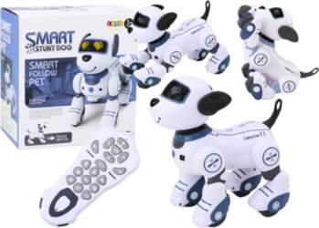Lean Toys Remote Controlled Interactive Robot