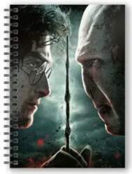 Harry Potter Harry vs Voldemort A5
