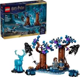 LEGO Harry Potter 76475 - Forbidden