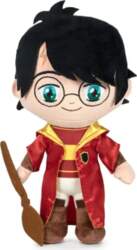 Harry Potter Quidditch Champions Harry Potter