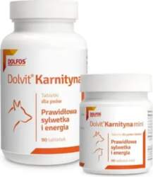 Dolfos Dolvit Karnityna 90 Tabletek