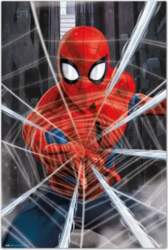 Marvel Spiderman plakāts