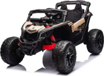 Rollzone Can-Am bagijs