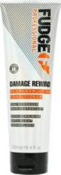 FUDGE Damage Rewind Repairing & Reconstructing