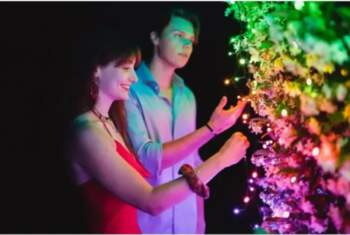 Twinkly Strings – 250 RGB+W String