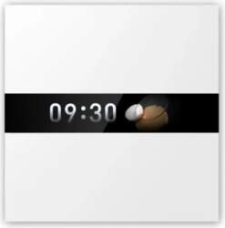 Aqara Display Switch V1