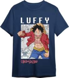 One Piece Monkey D. Luffy Map