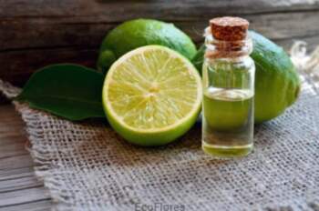 Essential oil Lime, Ecoflores, 10 ml