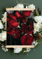 "Rozes"