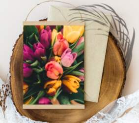 Tulpes