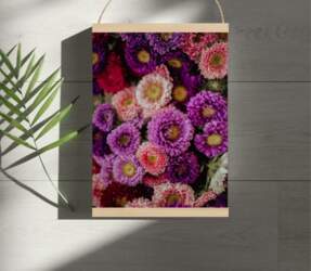 Sienas dekors #patrick-langwallner #violets