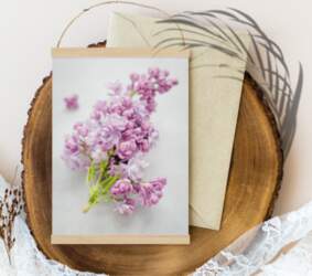 Lilac blossom