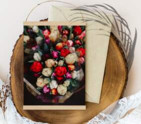 Tulpes #//