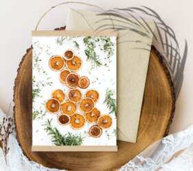 #Dried Orange