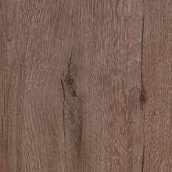 Anniversary Oak 3