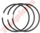 Dolpinno PISTON RING FOR B&S (498680)
