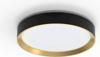 Philips Hanno ceiling SS RD 24W